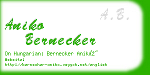 aniko bernecker business card